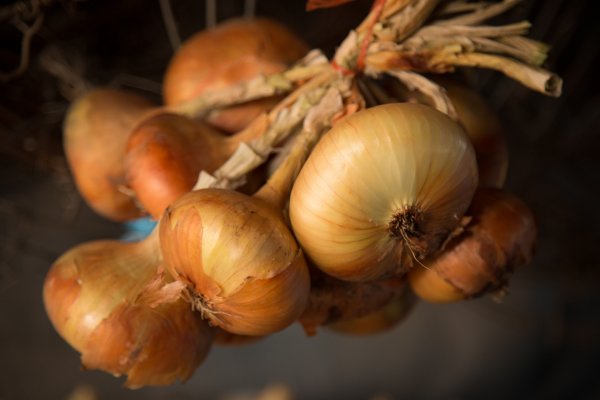 Kraken ссылка onion 2kmp