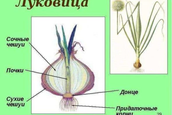 Krn 2at
