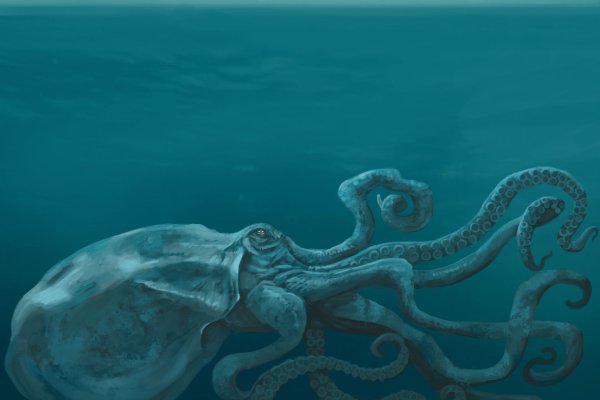 Kraken вход зеркало