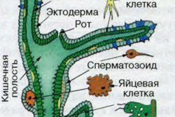 Кракен маркетплейс официальный сайт сайт ссылка