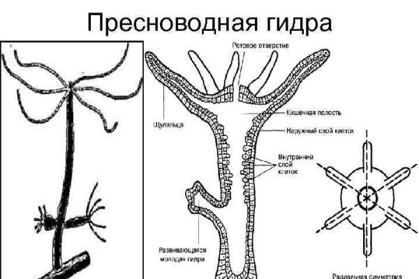 Кракен найдется все что это